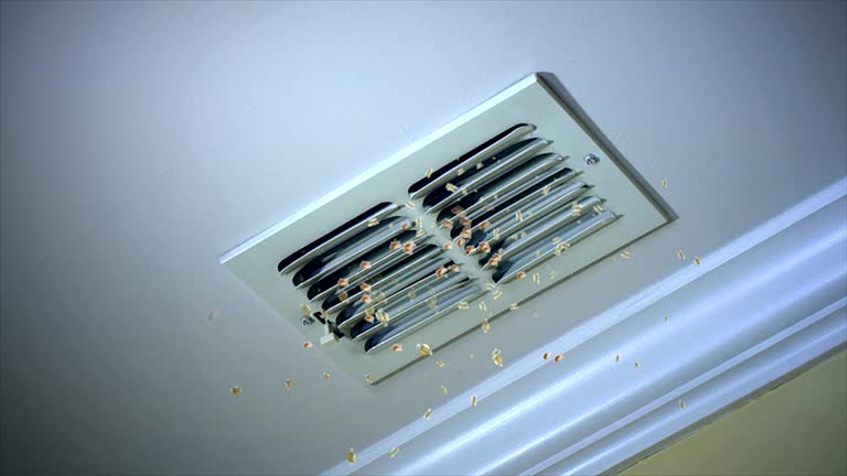 Best HVAC Duct Inspection Services  in Conley, GA
